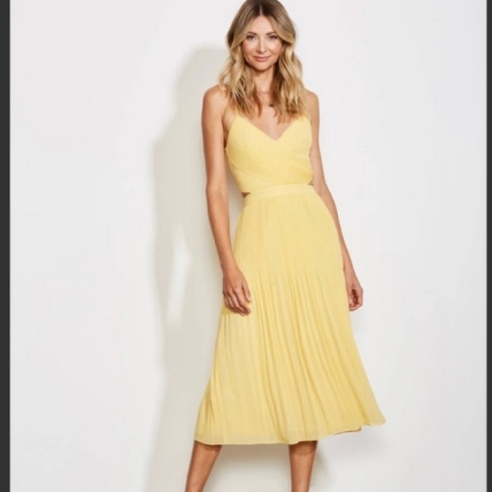 Ali and Jay Midi Dress Size Medium NBW NWT